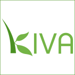 Kiva: The best $25 you will ever spend