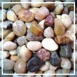 A Handful of Small Stones