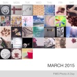 Photo A Day Challenge – March 15-31, 2015