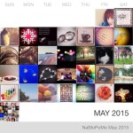 NaBloPoMo “Photo” month complete!