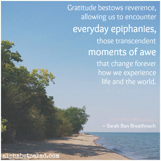 Gratitude - Sarah Ban Breathnach