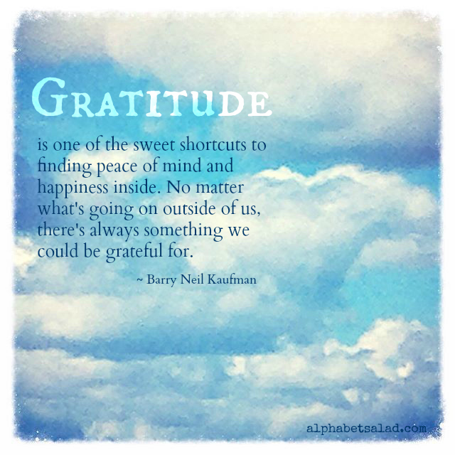 Gratitude - Barry Neil Kaufman