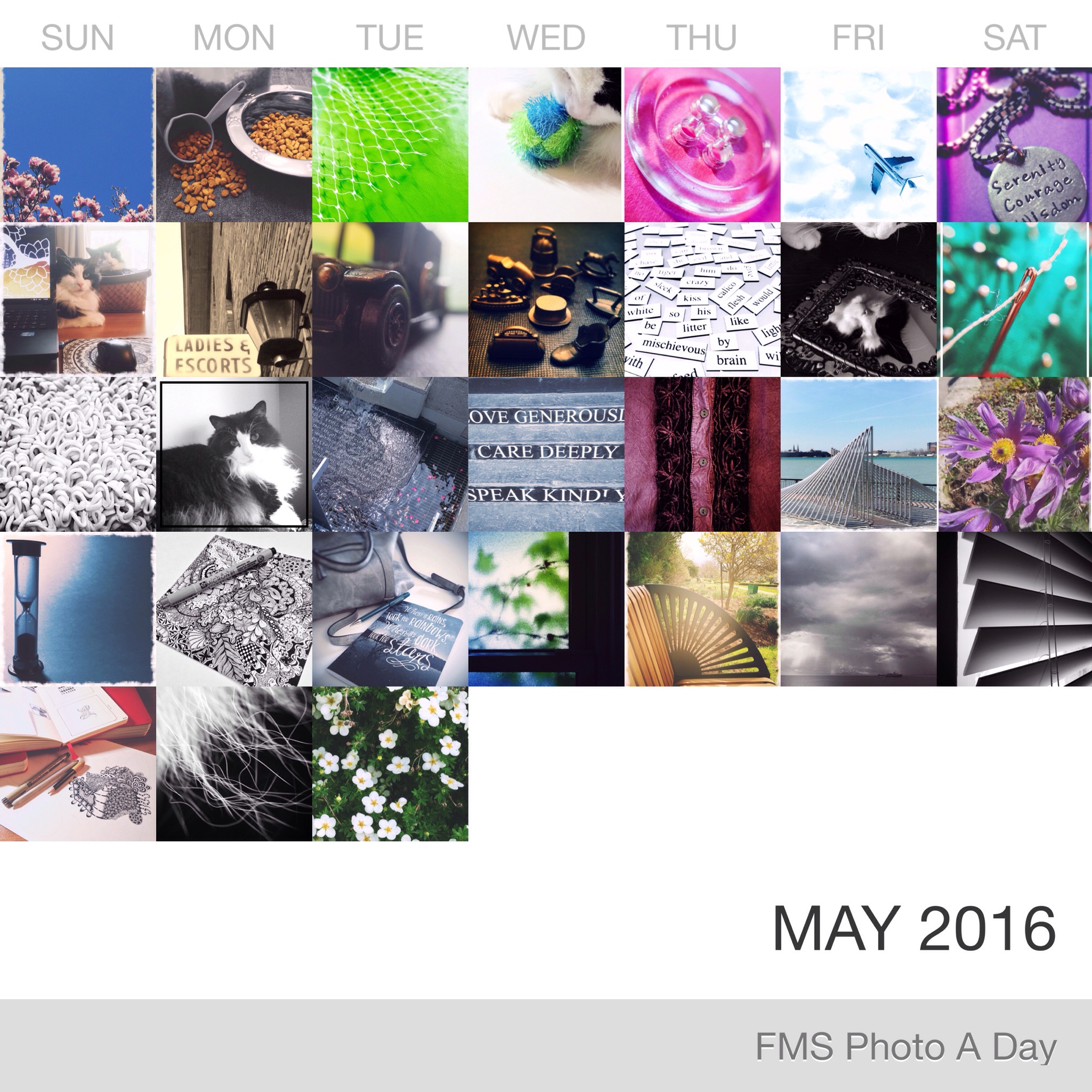 FMS Photo A Day May 2016